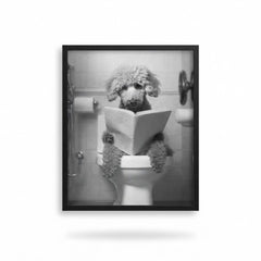 Home Luxe Teddy Dog Black & White Wall Art 30x40cm Funny Toilet Prints