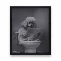 Home Luxe Poodle Reading Newspaper Black & White Framed Wall Art 30x40