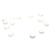 Solar Living Mushroom Lights 12pk - Warm White Solar Garden Decor