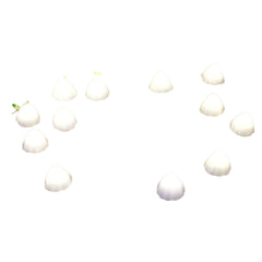 Solar Living Mushroom Lights 12pk - Warm White Solar Garden Decor