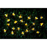 Solar Powered 30 Bee Insect String Lights - White LED Garden Decor