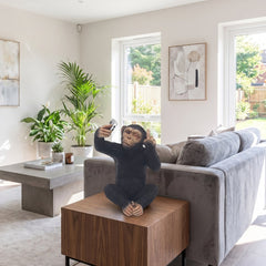 Home Luxe Cheeky Monkey Selfie Phone Middle Finger Statue | 18cm