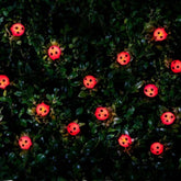 Solar Powered 30 Ladybird Insect String Lights - White LED Garden