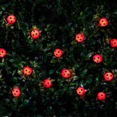 Solar Powered 30 Ladybird Insect String Lights - White LED Garden