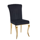 Armenia Black Velvet Dining Chairs - Set of 2 with Polished Gold Legs