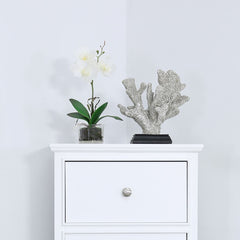 25cm Coral Decoration Silver Black Stand