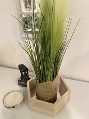 65Cm Pampass Grass Round Plant