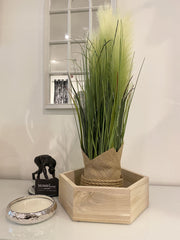 65Cm Pampass Grass Round Plant