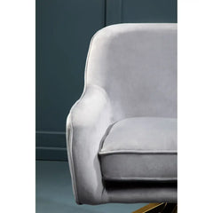 Avery Grey Velvet Chair
