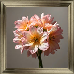 French Velvet Blush in bloom, Peach Flower bunch - Home Luxe Interior