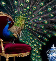 French Velvet Majestic peacock amidst opulent elegance. - Home Luxe Interior