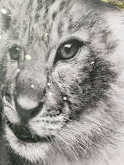 Baby Lion Crown Wall Art Mirror Frame