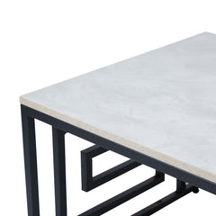 Devon Grecian Design Black and Grey Coffee Table