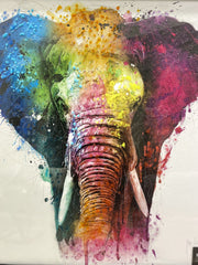 Elephant Multicolor Wall Art 85Cm X 85Cm Black Frame