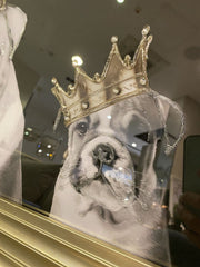 English Bulldog Family Boy With Crown Wall Art Champagne Frame 85Cm X 85Cm