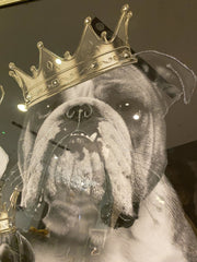 English Bulldog Family Boys With Crown Wall Art Champagne Step Frame 115Cm X 65Cm