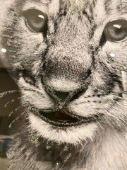 Lion Cub Silver Crown White Wall Art With Mirror Frame