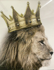 Lion King Family White 85Cm X 45Cm Wall Art Mirror Frame