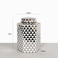Luxe Medium 24cm White & Silver Ginger Jar