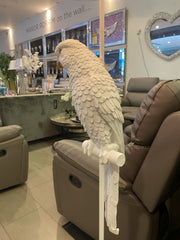 Matt White Parrot Floor Lamp with White Shade