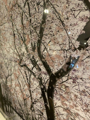 Pink Blossom Trees Walk Way Wall Art White Step Frame 85Cm X 85Cm