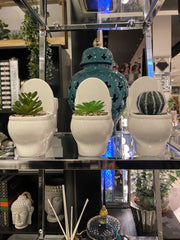 Set Of 3 Toilet Pot With Succulent Plant Décor