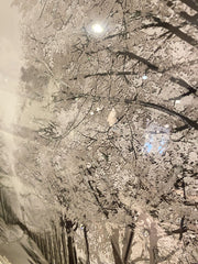 Silver Trees Walk Way In Park Wall Art White Step Frame 90Cm X 70Cm