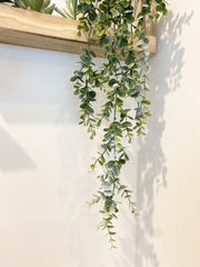 Succulent Wall Crate Garden Décor