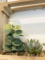 Succulent Wall Crate Garden Décor