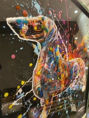 Supernova Pug Multicolour Wall Art Mirror Frame 55Cm X 55Cm