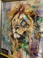 Waterpaint Lion Wall Art Alpha Black Frame 55Cm X 65Cm