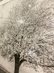 White Snow Silver Blossom Tree Wall Art Silver Step Frame 90Cm X 70Cm
