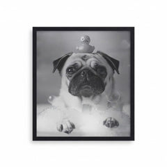 Home Luxe Pug In Bath Foam Framed Wall Art Black & White Print 60X45Cm