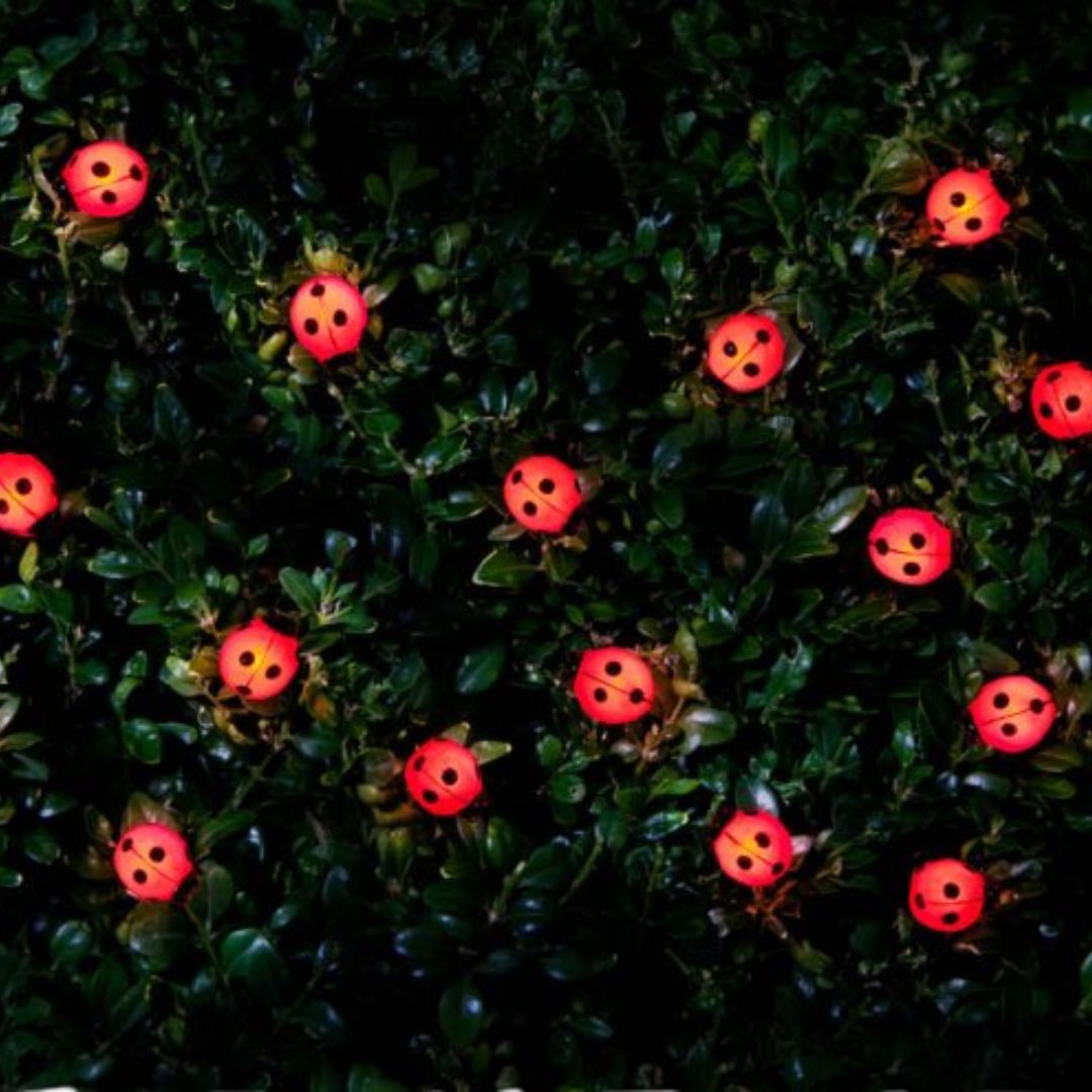 Solar Powered 30 Ladybird Insect String Lights - White LED Garden