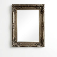 Vintage Champagne Wall Mirror 60x90cm Ornate Baroque Chic Frame