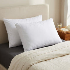 CloudNest Luxury Duck Feather Pillows - Pack of 2 Soft Support Pillows