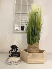 [EKM-AUTOGENERATED]65Cm Pampass Grass Round Plant