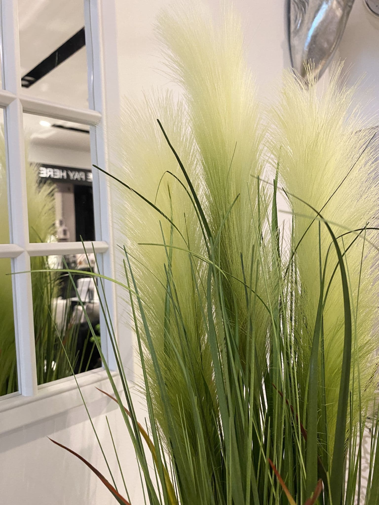 65Cm Pampass Grass Round Plant
