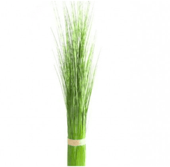 [EKM-AUTOGENERATED]89X9X9Cm Bamboo Spray