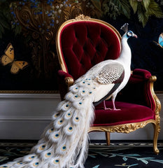 French Velvet Celestine peacock amid opulence 2 - Home Luxe Interior
