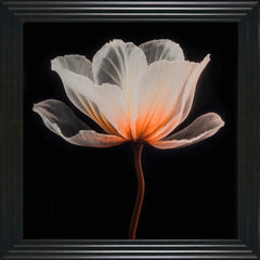 French Velvet White and Peach Flower - Home Luxe Interior