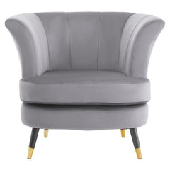 Loretta Grey Velvet Curved Accent Chair  Home Luxe Interior