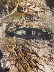 African Queen Black & Gold Face Wall Art Canvas Black Frame