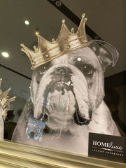 English Bulldog Family Boy With Crown Wall Art Champagne Frame 85Cm X 85Cm