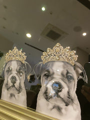 English Bulldog Family Girl With Crown Wall Art Champagne Frame 85Cm X 85Cm