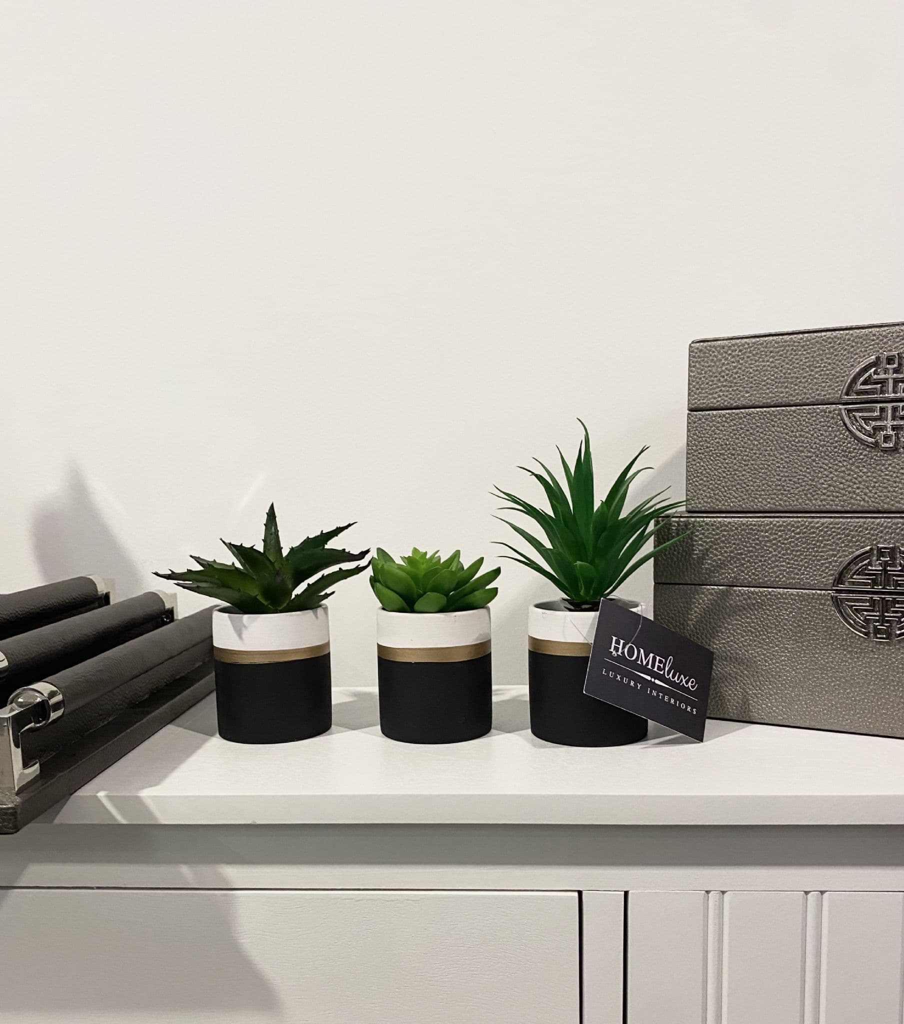 [EKM-AUTOGENERATED]Fiori Set Of 3 Black Pots Succulent