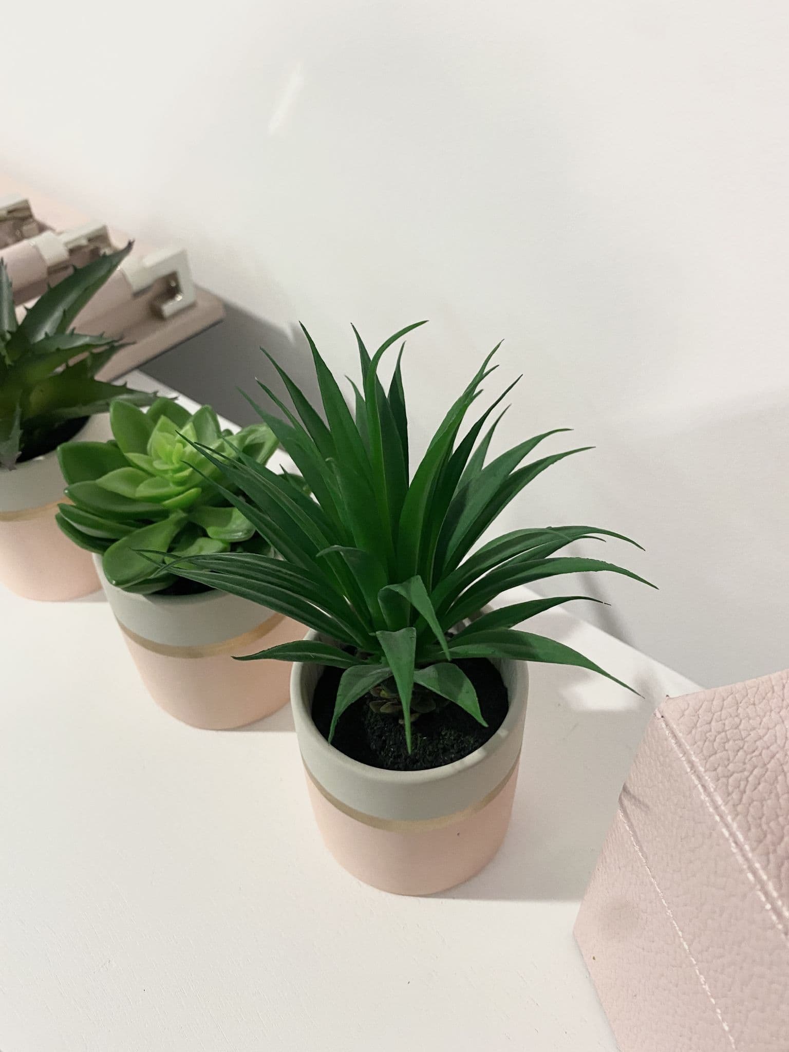 Fiori Set Of 3 Pink Pot Succulent