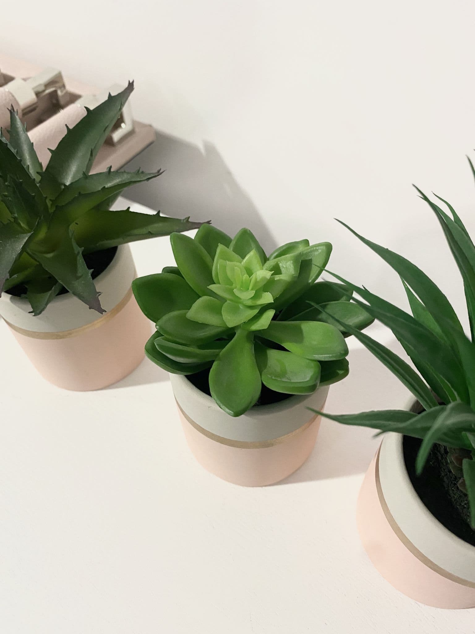 Fiori Set Of 3 Pink Pot Succulent