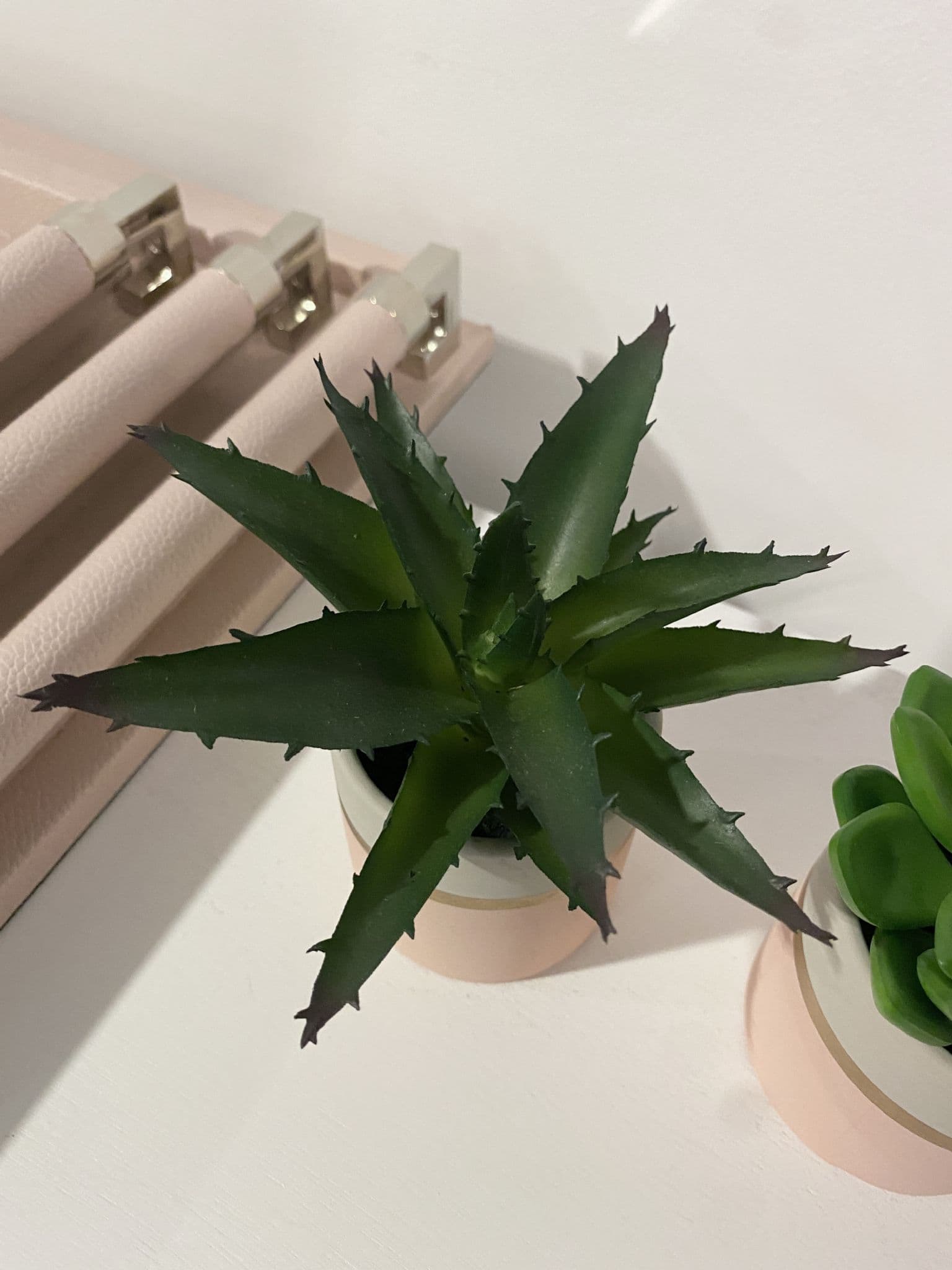 Fiori Set Of 3 Pink Pot Succulent