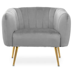[EKM-AUTOGENERATED]Larissa Grey Velvet Chair